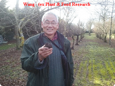 Wang