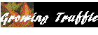 Growing Truffles