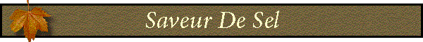 Saveur De Sel
