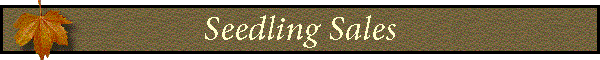 Seedling Sales