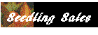 Seedling Sales