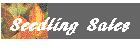 Seedling Sales