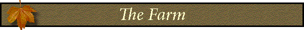 The Farm