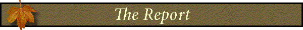The Report