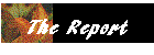 The Report