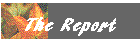 The Report