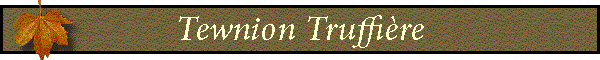 Tewnion Truffire